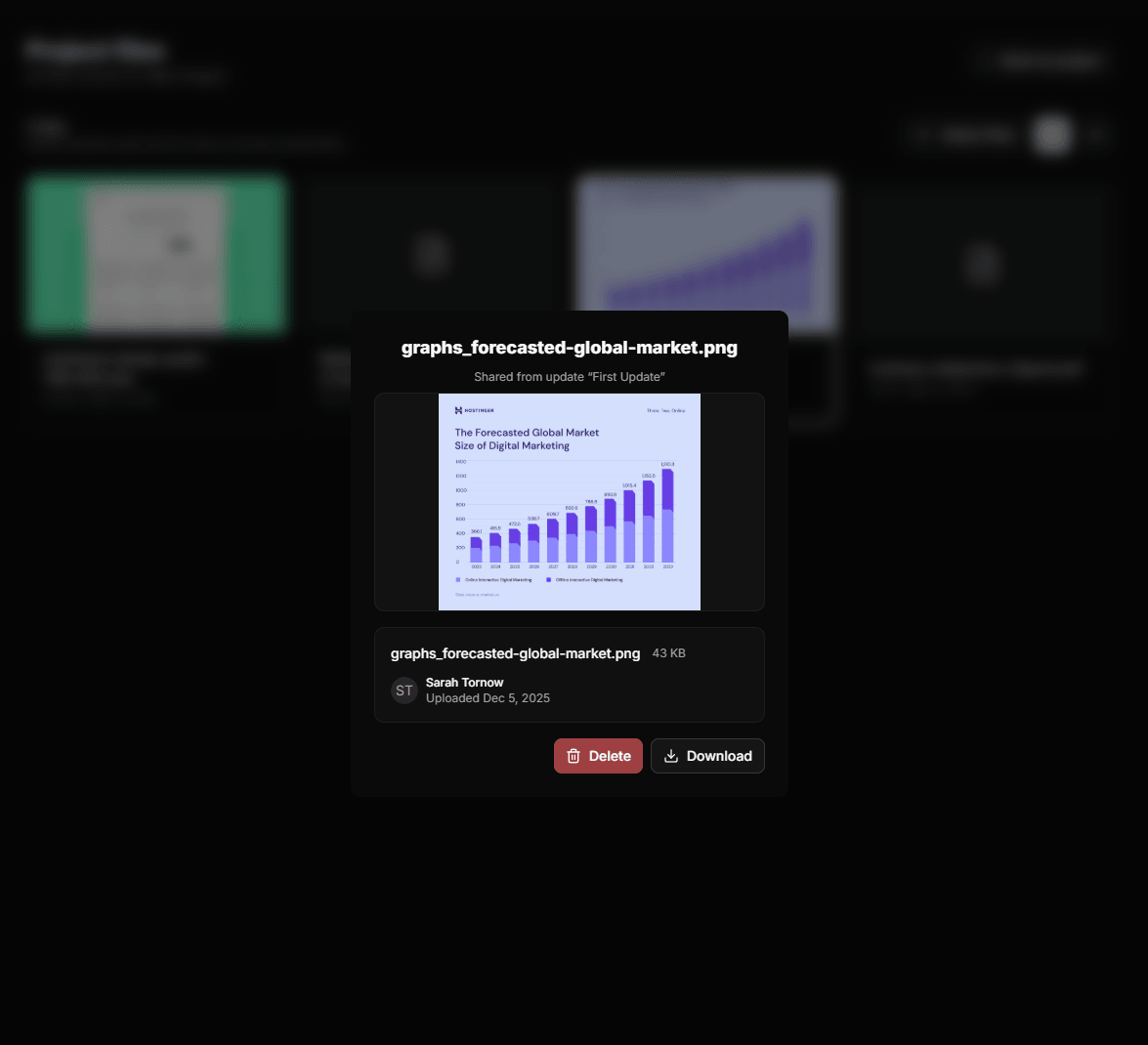 Full file system control per project preview